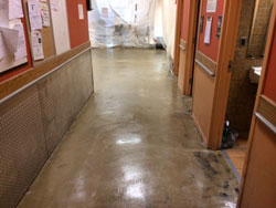 Concrete Coating