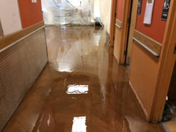 Concrete Coating