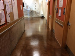 Concrete Coating