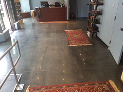 Dyed and Polished Floor