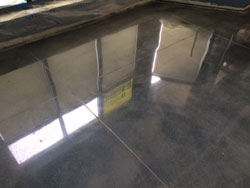 Dyed and Polished Floor