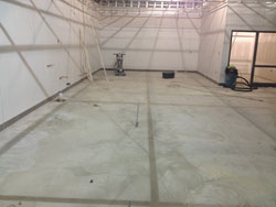 Resilient Flooring